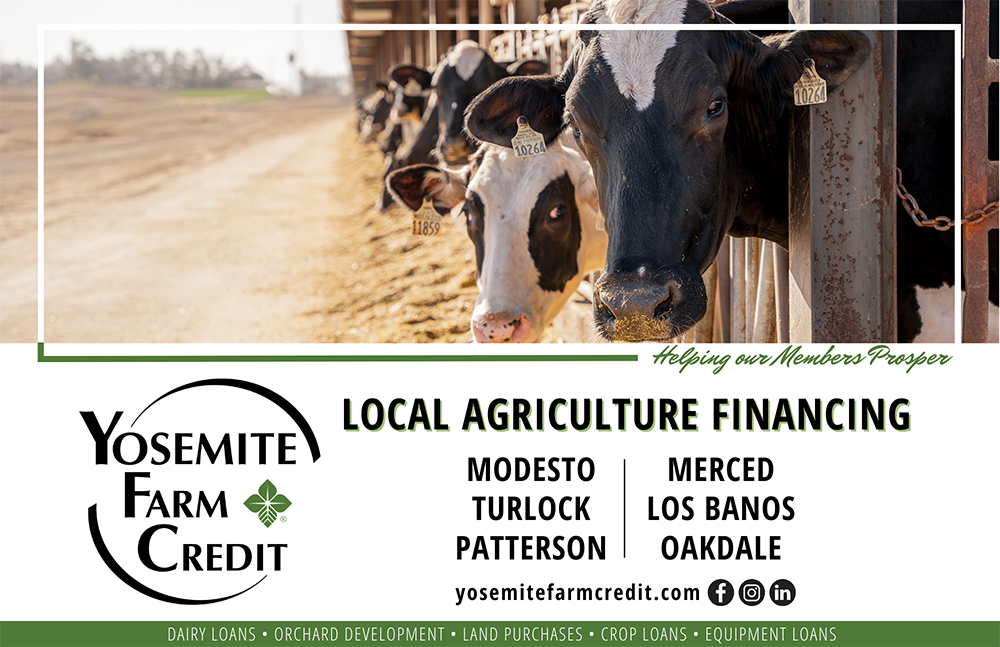 WUD YFC Ad (1)
